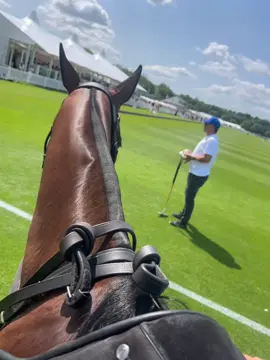 #polo #ESPN #losmachitos #cambiaso #ladolfinapoloteam              