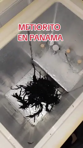 Kin muestra el tamaño actual del meteorito qué callo en su casa y de ahí nació una cosa rara. #panama🇵🇦 #kim #ufo #ovnis #extraterrestres👽aliens 