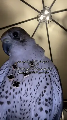 تتفقون ولا لا 🧑🏻‍🦯#لايك #fyp #foryou #اكسبلوووورررر #foryou 