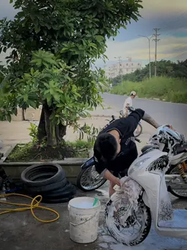 Về Hoa Thanh Quế thôi🍓#xuhuong 