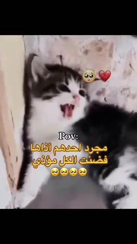 #العراق 🥺🥺