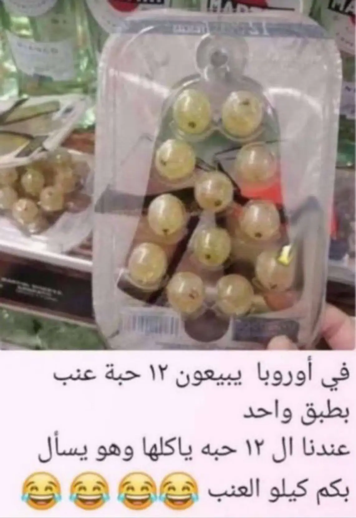 #اكسبلور 