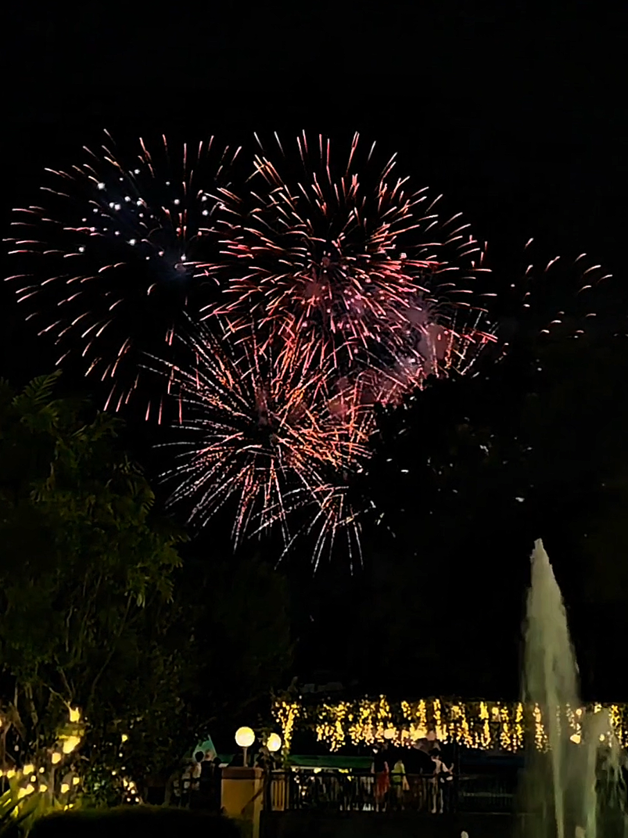 Sometimes, it’s nicer to enjoy things alone. #EK #fireworks #foryoupage #fyp #fyppppppppppppppppppppppppppppppppppp 