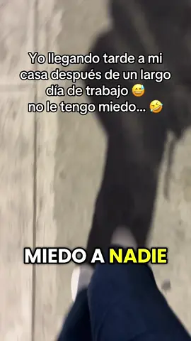 No le tengo miedo a nadie.. 🤣#humortiktok  #noletengomiedoanadie  #trabajoduro 