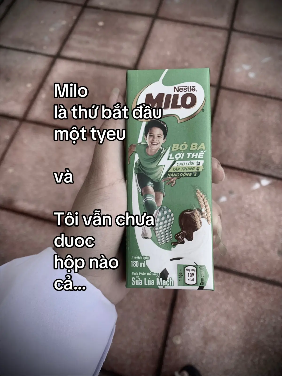 Milo là thứ bắt đầu một tyeu