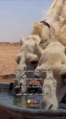 #اكحيله_المغربي #غناوي #شتاوي #غناوي_علم_فااااهق🔥 #شتاوي_غناوي_علم_ليبيه #غناوي_علم_فااااهق🔥 #شتاوي_فااااهق🔥 #شتاوي_ليبية #ع_فاهق #fyppppppppppppppppppppppp 