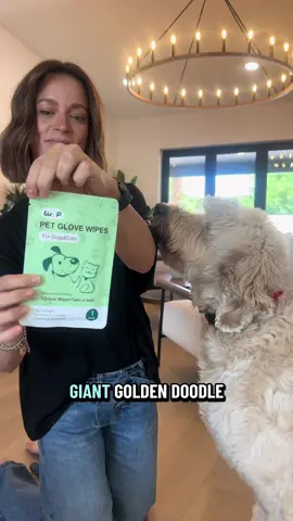 Golden doodle moms/dads know… 🐶✨ bath time = forever 😩 This pet cleaning glove wipes away dirt in seconds — no tub, no stress, just a clean fluffy pup 🐾💕 A must-have for doodle owners! #G#GoldenDoodleLifeP#PetCleaningGloveD#DogGroomingMadeEasyP#PetHacksDogParents