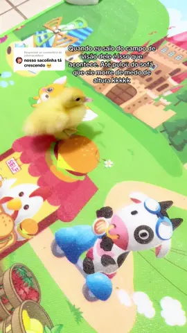 Respondendo a @jullianacaldass  o barulho dele andando no tapete kkkkk