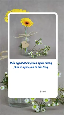 Điều đẹp nhất ở một con người không phải vẽ bể ngoài mà là tấm lòng #tamtrang #chualanh #foryou #binhyen #xuhuong #hanhphuc 