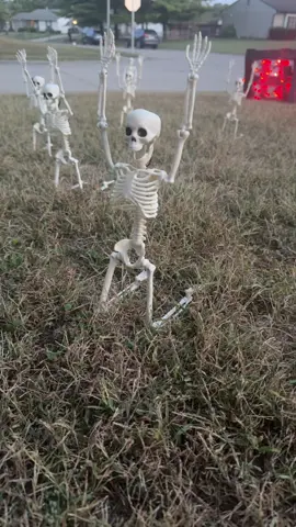 @krisseymour83 thank you for the inspiration! All credit to her!! We loved what you did!!! #recreation #miniskeletons #halloween #12ftskeleton #indianapolis 