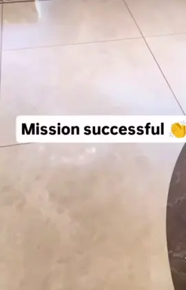 #humor #paratiiiiiiiiiiiiiiiiiiiiiiiiiiiiiii #comedia #dog #paratii 