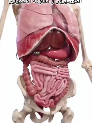 الحل موجود ، عشان راحتك