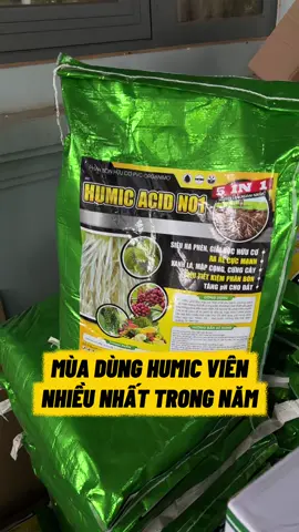 Phục hồi, cải tạo
