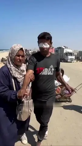 ‏آلاف ينزحون نحو المجهول، مصابون ومرضى، كبار سن وذوو احتياجات خاصة، يقطعون مسافات طويلة مشياً على الأقدام محملين بثقل الحياة وهمومها، تحت النار والقصف، تاركين خلفهم أحلامهم وذكرياتهم وماضيهم، وأحباءهم الذين فارقوهم خلال الحرب . #غزه_تموت_جوعاً  #غزه_تباد_وتحرق  #أسطول_الصمود  #غزة  #مصر 