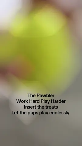 #pawbler #dogtoys #interactivedogtreat #dogtreatdispenser #dogtok