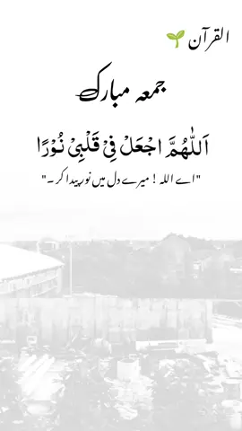 Beautiful Islamic Video 🥀  #HadithOfTheDay  #IslamicPosts  #QuranQuotes  #IslamicKnowledge  #NamazReminder 