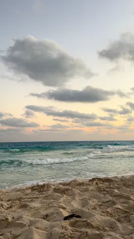 #fyp #sea #amermounib #عامر_منيب #بدون_موسيقي 