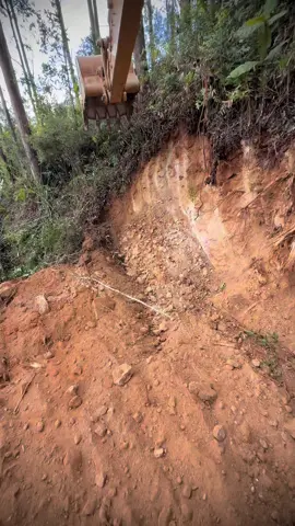 Abrindo estrada em reflorestamento 