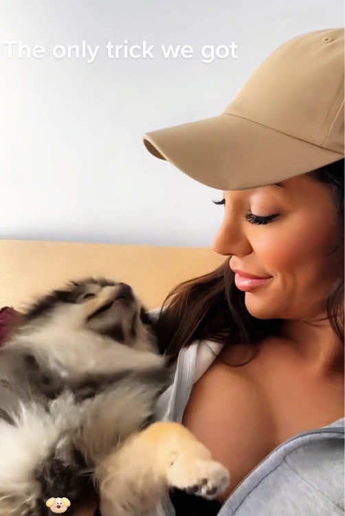 Dogs are the best students 🐶🤣😂🤪🥰#usa #foryou #foryoupage #animals #funnymoments #funnyvideos #fyp #dog #dogsoftiktok #funnydog #doglover #imitation #mimic 