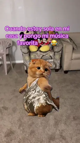 #Meme #MemeCut 😂🤣💃🏼🫣💃🏼