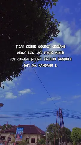 #CapCut ###jowostory #jowostory 