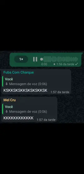 perdi as mensagens #audiosengraçados #audios #fy #forpage #foryou 
