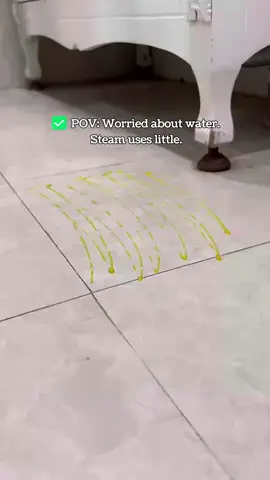 POV:Dreaded milder.Steam removes.#steammop #steamcleaning #devoac #devoacsteammop #tiktokshoprestock 