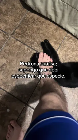 #🫣#pieenlanuca#gym #gatos  Manifestando una así de mi especie 🫶✨