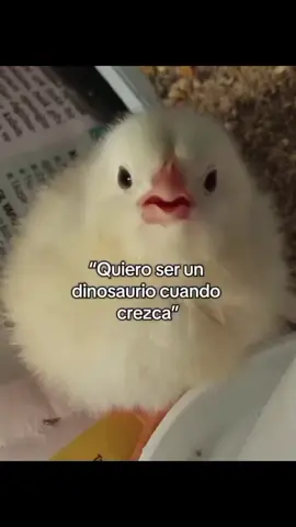 #memes #random #xd