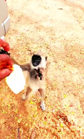 මටත් දෙන්ටකො ❤️