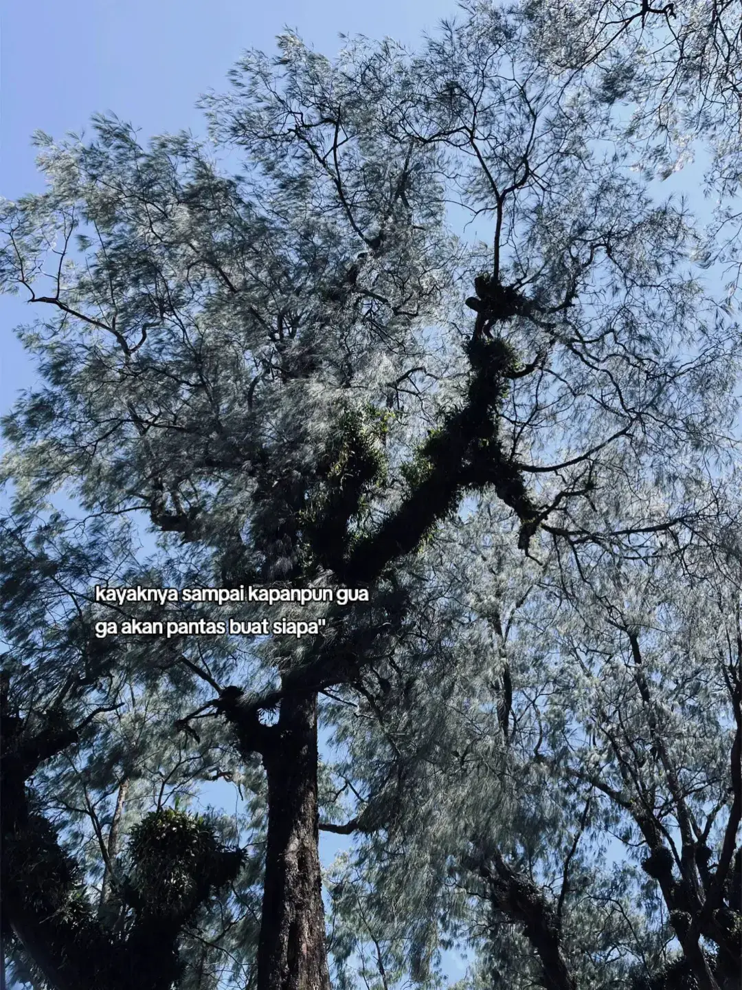 ... Bahan-bahan: 3 butir telur ayam 3 sdm air (supaya telur lebih encer dan mudah digulung) ½ sdt garam ¼ sdt lada bubuk (opsional) Minyak goreng secukupnya Alat: Tusuk sate Wajan kecil (teflon) Sendok sayur Cara Membuat: Kocok telur dalam mangkuk, tambahkan air, garam, dan lada. Aduk rata hingga tercampur. Panaskan minyak agak banyak di wajan kecil (api sedang cenderung kecil). Pastikan minyak benar-benar panas agar telur bisa langsung menggulung. Tuang telur sedikit demi sedikit ke dalam minyak panas. Langsung gulung telur menggunakan tusuk sate dengan cepat sebelum telur mengeras. Caranya tusukkan sate di pinggir telur, lalu gulung sambil diputar. Ulangi sampai adonan habis. Angkat dan tiriskan. Bisa disajikan dengan saus sambal, mayones, atau bumbu sesuai selera. 👉 Tips: Kunci keberhasilan telur gulung adalah adonan encer dan minyak panas stabil. #foryou #galaubrutal #fyp 