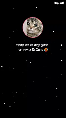 😁😁 .. .. .. .. .. .. .. .. .. .. .. #fyp #foryou #foryoupage #viral #tiktok 