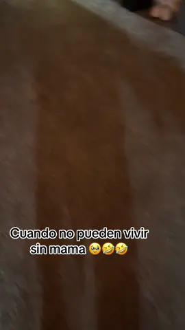 #fpy_tiktok_viral #capcut #viral #capcufypシ゚ #😁😁😁😁😁😁😁😁😁😁😁😁 