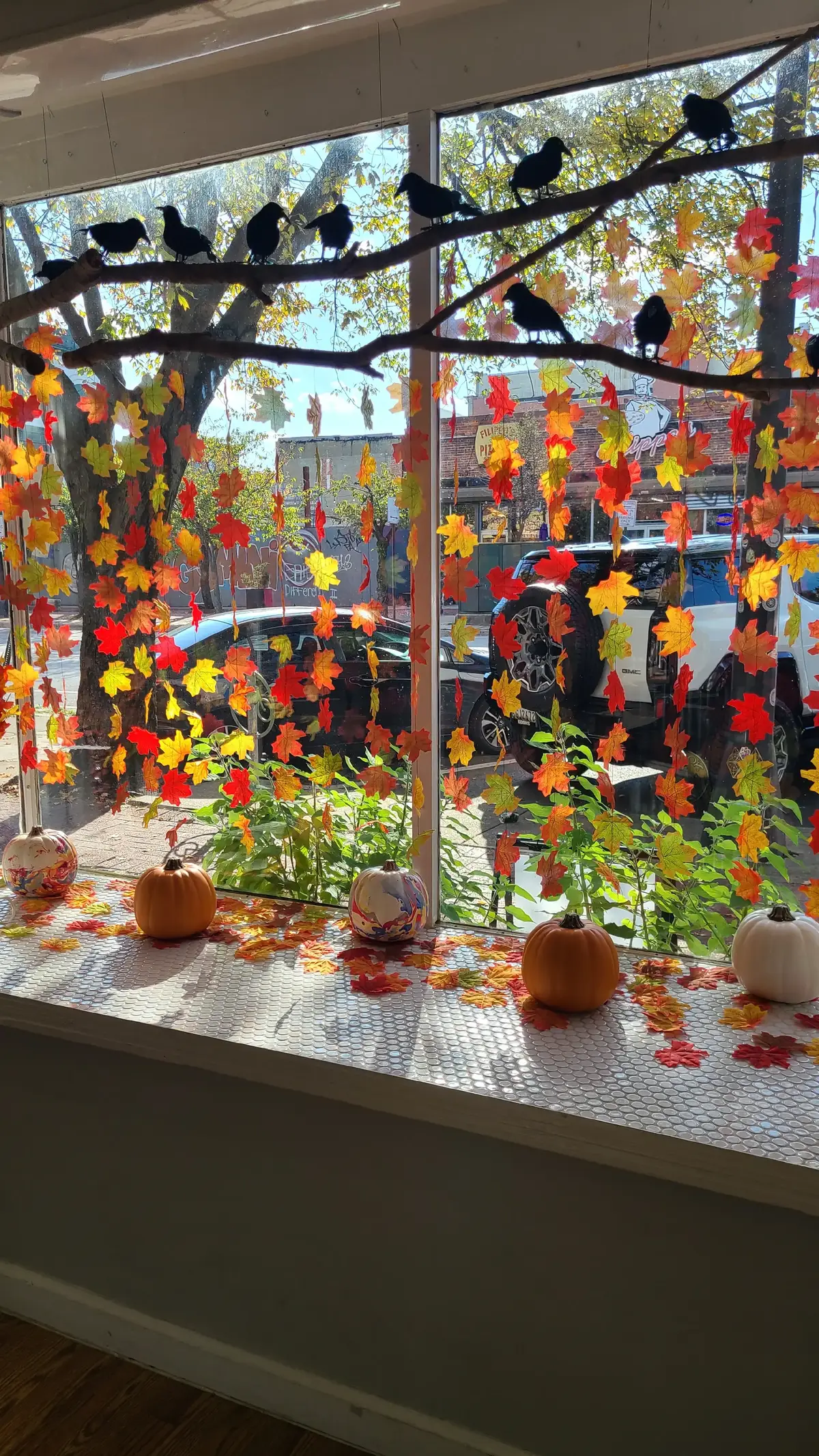 Fall has arrived at our little herbal apothecary in Baltimore, MD. Wednesday, Thursday, Saturday 12 to 5 pm Fridays 12 to 7 pm Sundays 11 to 4 pm 425 S Conkling Street Baltimore, MD 21224 Online too at www doot charmingtonholistics doootie com