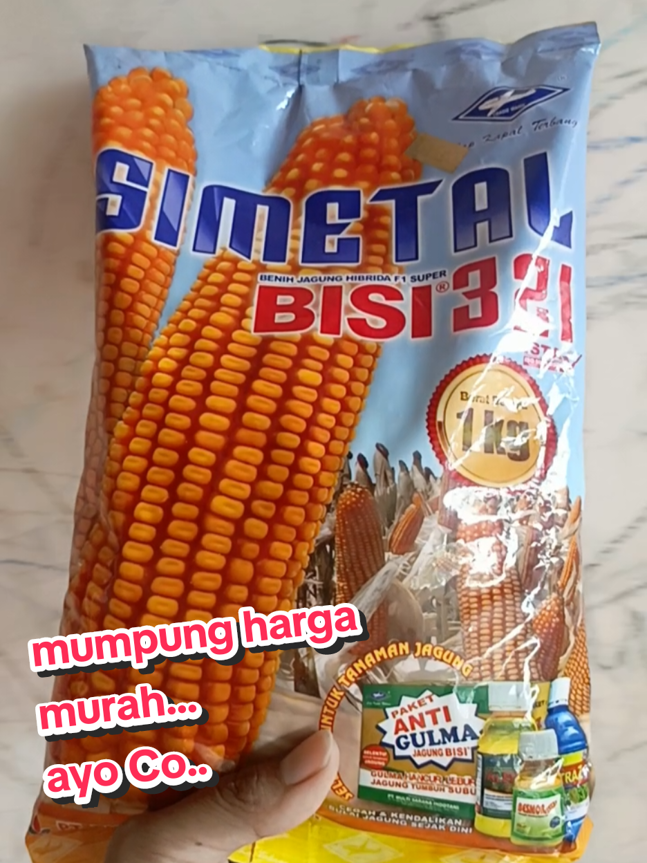 benih jagung simetal bisi 321 cap panah merah, benih jagung hibrida F1 super. super benihnya super hasilnya, hasil palimpah kemasan pabrik 1 kg. #benihjagung #benihjagunghibrida #benihjagungmanis #benihjagungmanisunggul #benihjagungraksasa 