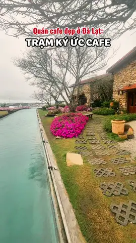 Mưa phùn sáng nay ở Đà Lạt 19-9 #dalat #tiendalat #rongchoidalattravel #rongchoidalatgroup #dalatstory 