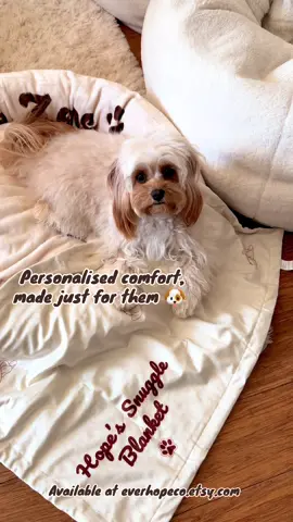 ✨ Snuggle season is here!  Personalised Pet Bed + Blanket available at Everhope Co 🐾 Because your furry bestie deserves the comfiest corner of the house. #EverhopeCo #PetBlanket #PetBed #CosyPets #petparents 
