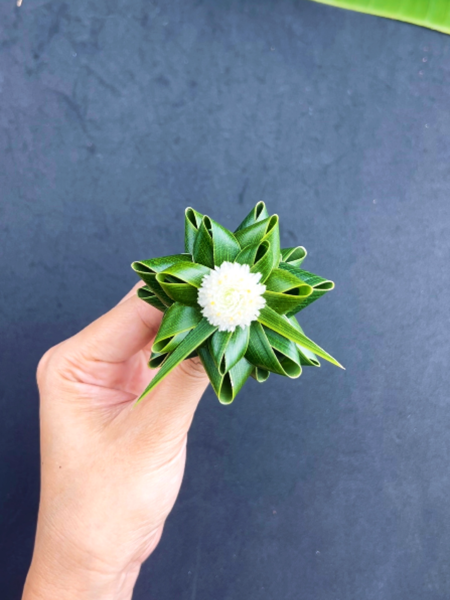 พับใบมะพร้าว Coconut leaf craft.
