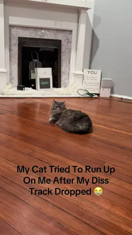 my cat tried to run up on me after i played my diss track 😂 #cat #catsoftiktok #fy #catsong #petsoftiktok 