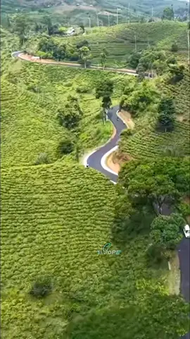 Sukanagara Cianjur Selatan #sukanagara #cianjurselatan #Kdm #Jawabarat 