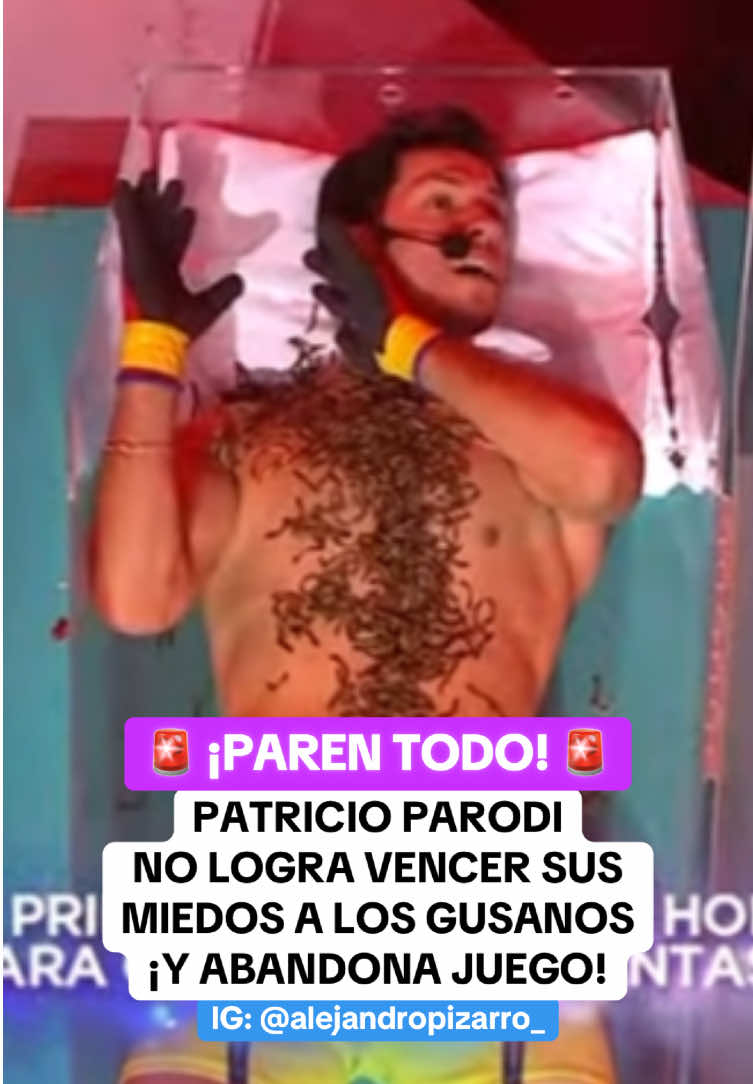 ¡Pato asustado! 🫣🔥 #farandulalorcha #patoparodi #eeg #reality #estoesguerra #chollywood #espectaculos #peruanos #americahoy #arribamigente #amoryfuego #magalymedina #magalytvlafirme #alejandropizarro 