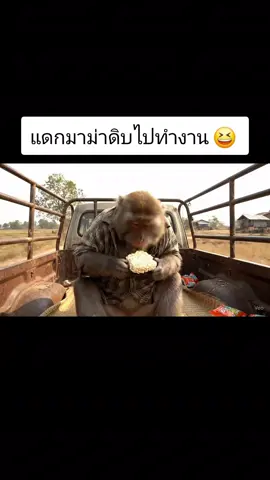#viralvideo #fyp #ฟีดดดシ 