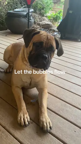 We get overly excited over here for our food