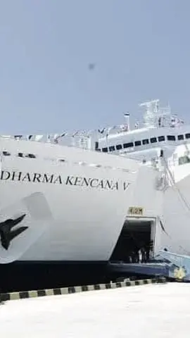 KM Dharma Kencana V  Rute PALU(DONGGALA)-BALIKPAPAN-SURABAYA (PP)  Info jadwal, harga dan pemesanan DM/WA 081949592759 #dharmalautanutama #kapallaut #travel #palu #sulteng 