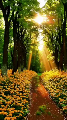 #tamil80sgoldensongslover #80stamilsong #tamilsong #tamilsong #tamil80ssongs 