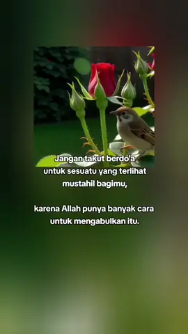 #assalamualaikum🙏 #fypシ゚ #fypviralシ #katakata 