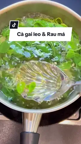 Uống một ấm trà, vừa giải độc vừa đẹp da – tại sao bạn không thử? #cagaileo #rauma #thanhloc #gan #thaoduoc #duoclieu #baithuocdangian #yaangforest