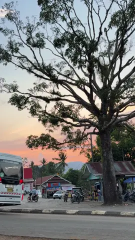 Vibes wasuponda di sore hari dengan pohon mangga legend nya🌳 #fyp #wasuponda #wasuponda_luwu_timur #luwutimur 