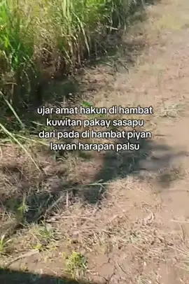 hennn amat neh klu ai 🤣# #katakatabanjar #setoriybanjar #setoriyvidiokatakatabanjar #fypviralシツ♡ #fypppppppppppppppppppppppppppppp 