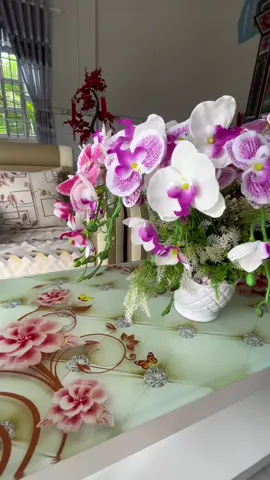 Hoa Lan giá rẻ - đẹp như thật, sang trọng bền lâu #xuhuongtiktok #hoalan #hoalanhodiep #tiepthilienket 